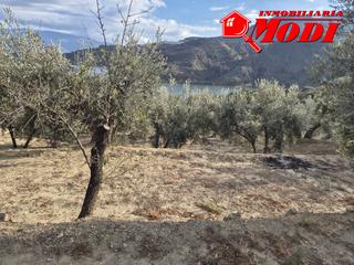 Terreny residencial a Lecrín. Gran oportunidad! finca de olivos con vistas espectaculares al e