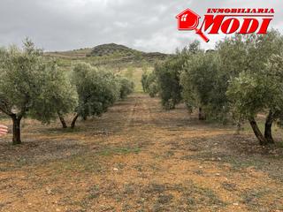 Terreny residencial a Albuñuelas. Sigues buscando un finca con árboles sembrados, buen acceso y ..