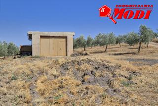 Terreny residencial a Arenas del Rey. Oportunidad única finca rústica con olivar ecológico, pozo propi