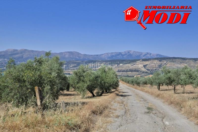 Foto 1b8560a5-2f9e-4e1c-b497-266b3528433d. Terrain résidentiel dans Arenas del Rey