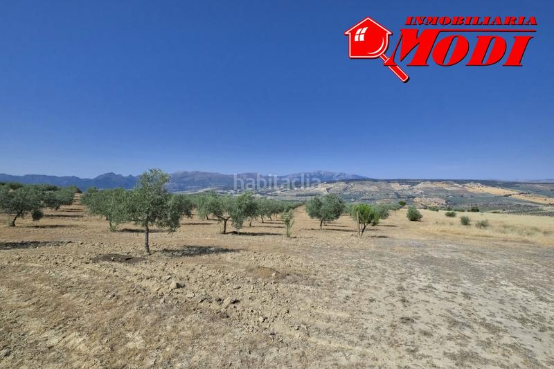 Foto 2c7f8bba-7b4f-47b0-884e-4045cf4a2645. Terrain résidentiel dans Arenas del Rey