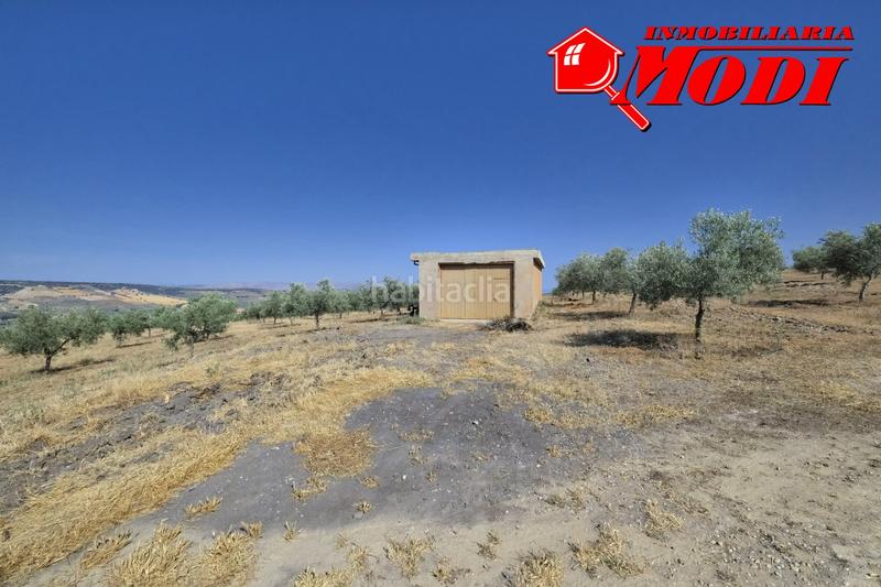 Foto 603c20b7-d2b5-444d-bf38-90f18d4e8302. Terrain résidentiel dans Arenas del Rey