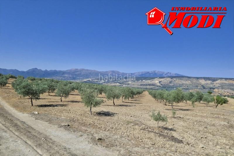 Foto 6b08651f-456b-47a7-9e8a-1eaff0ebc255. Terrain résidentiel dans Arenas del Rey