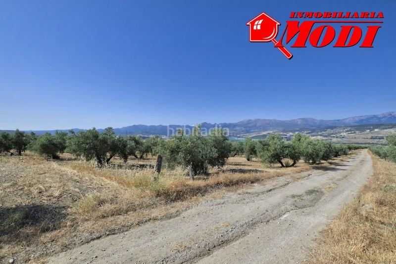 Foto 77964a10-7fc6-4fd5-81e9-049212edb7ea. Terrain résidentiel dans Arenas del Rey