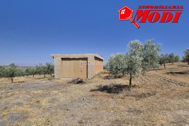 Foto 78f6c538-8155-49d4-8db0-d1f38a084cf2. Terrain résidentiel dans Arenas del Rey