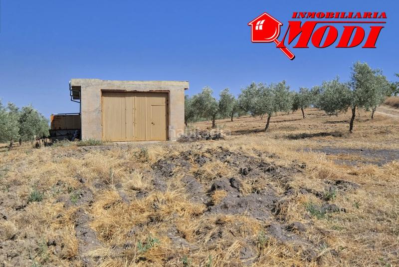 Foto 7a71c2eb-10ab-4037-ba48-2733e46662b6. Terrain résidentiel dans Arenas del Rey