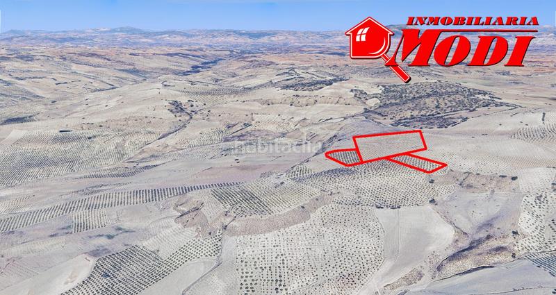 Foto 93f57eef-3d27-4ebd-a305-2cbc08aba669. Terrain résidentiel dans Arenas del Rey