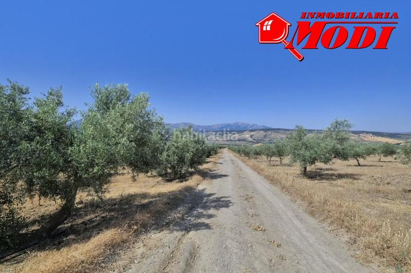 Foto 97be0964-0a2e-4384-bae3-c830543f7a0e. Terrain résidentiel dans Arenas del Rey