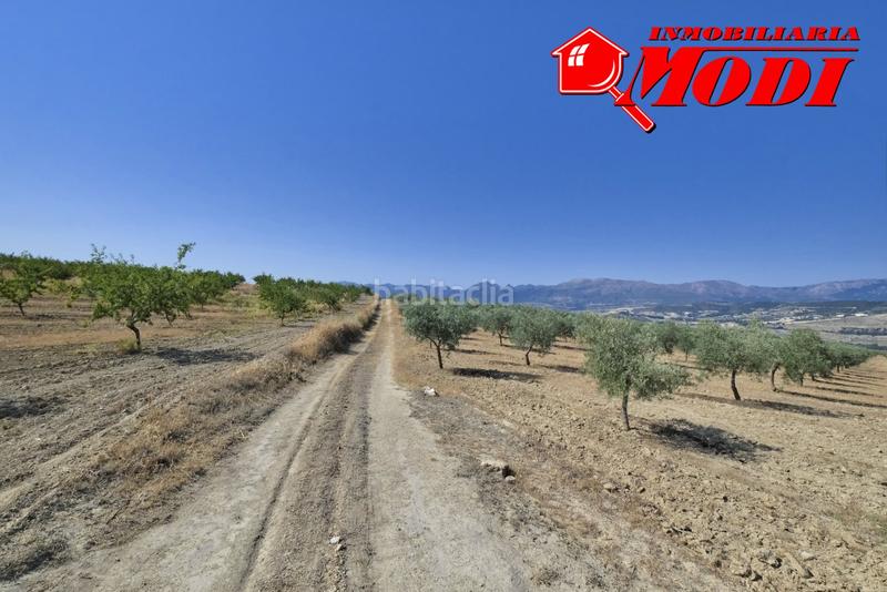 Foto 9d3cc49c-91d7-480f-a1e0-384eab812f33. Terrain résidentiel dans Arenas del Rey