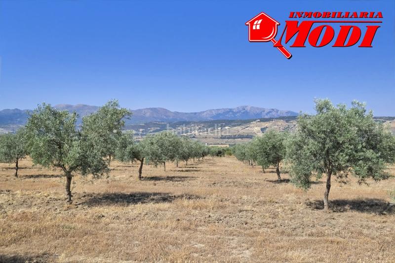 Foto 9fd74b48-f536-44c1-8de3-49165b0febd3. Terrain résidentiel dans Arenas del Rey