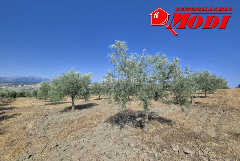 Foto a2d9cf67-439f-4d4b-a1ca-ff157e832c05. Terrain résidentiel dans Arenas del Rey