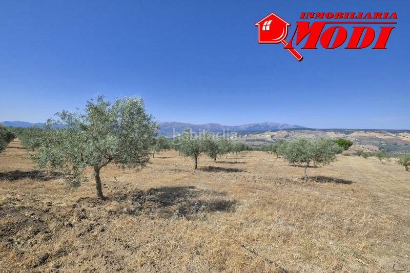 Foto aa5433e0-83ea-4531-925f-a7424f29902a. Terrain résidentiel dans Arenas del Rey