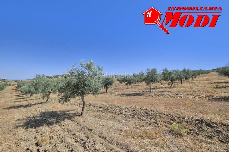 Foto ac568564-5cbb-4096-93f9-4b23ff963df7. Terrain résidentiel dans Arenas del Rey