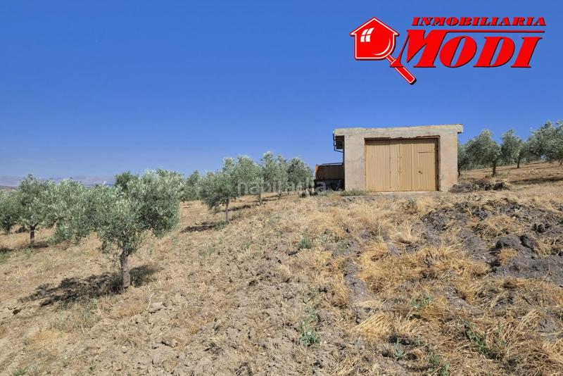 Foto d2e4eb71-35ac-4c7f-a7b8-4f5f4bf5e8a1. Terrain résidentiel dans Arenas del Rey