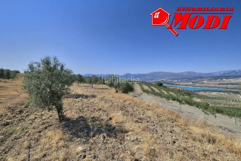 Foto d7bf6beb-52c5-4ae0-a2e8-59bc6ef65b42. Terrain résidentiel dans Arenas del Rey