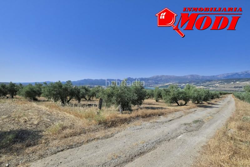 Foto e44c1664-e988-4dc8-8c9a-934b9848fbef. Terrain résidentiel dans Arenas del Rey