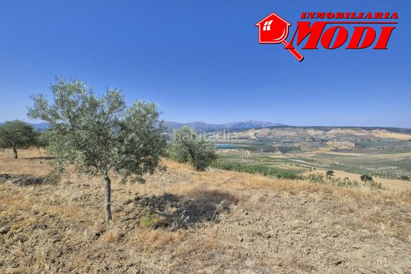 Foto e951f10c-4531-46b0-a96c-ad3701cffbd0. Terrain résidentiel dans Arenas del Rey