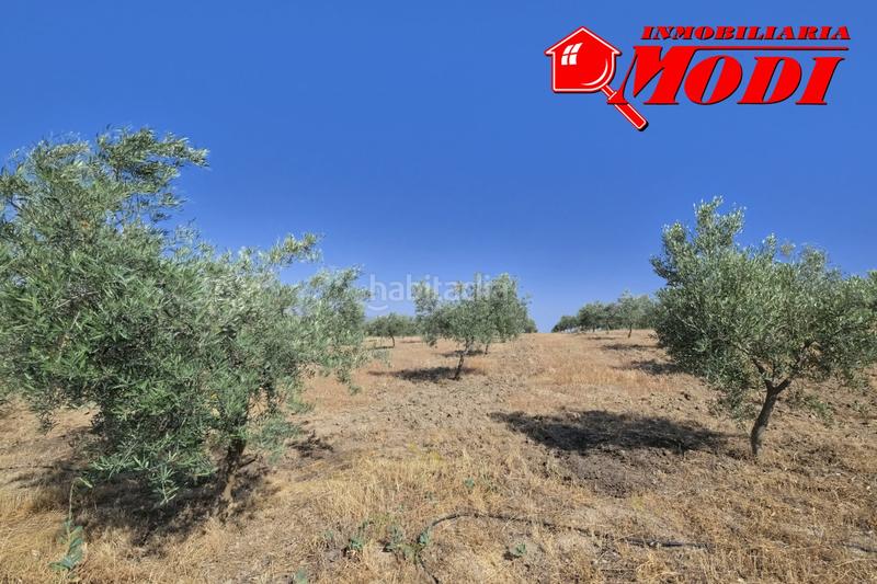 Foto ee873c1a-70a8-48fe-b747-1198363dfcd4. Terrain résidentiel dans Arenas del Rey