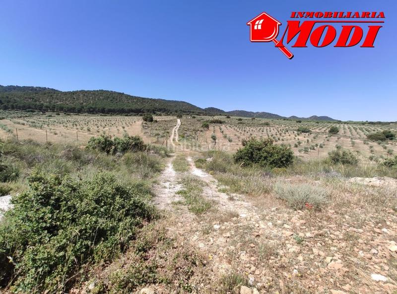 Foto 8f6ad95c-cc15-4304-ac8b-eaf81dd93b46. Terreny residencial a Padul