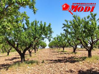 Terreny residencial a Padul. Finca rústica de secano en padul granada pago tajillos de castro
