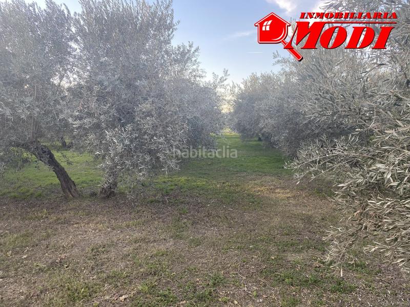 Foto 2a86cb2d-4fc3-482c-8fce-3195f5bc781b. Residential plot in Belicena Vegas del Genil