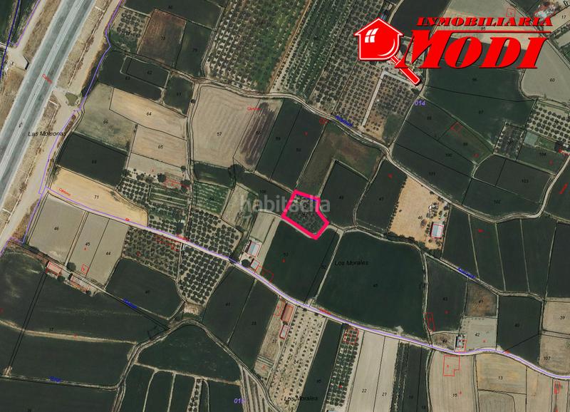 Foto 3eeb52bd-de8f-4493-abe6-a62d3bb7d5a7. Residential plot in Belicena Vegas del Genil