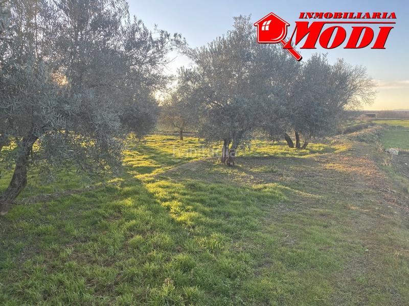 Foto 4291794e-424b-42d1-afd2-6e3f4864b534. Residential plot in Belicena Vegas del Genil