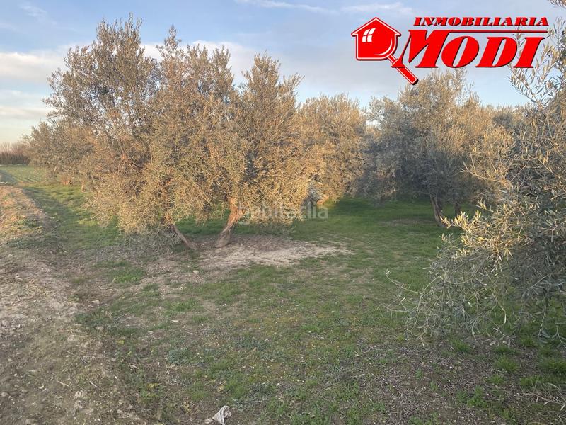 Foto a20b51fc-df9c-4029-a38a-88a607ffc35f. Residential plot in Belicena Vegas del Genil