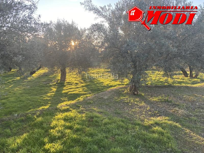 Foto b599b471-1687-47f2-a76c-5311cc4714ee. Residential plot in Belicena Vegas del Genil