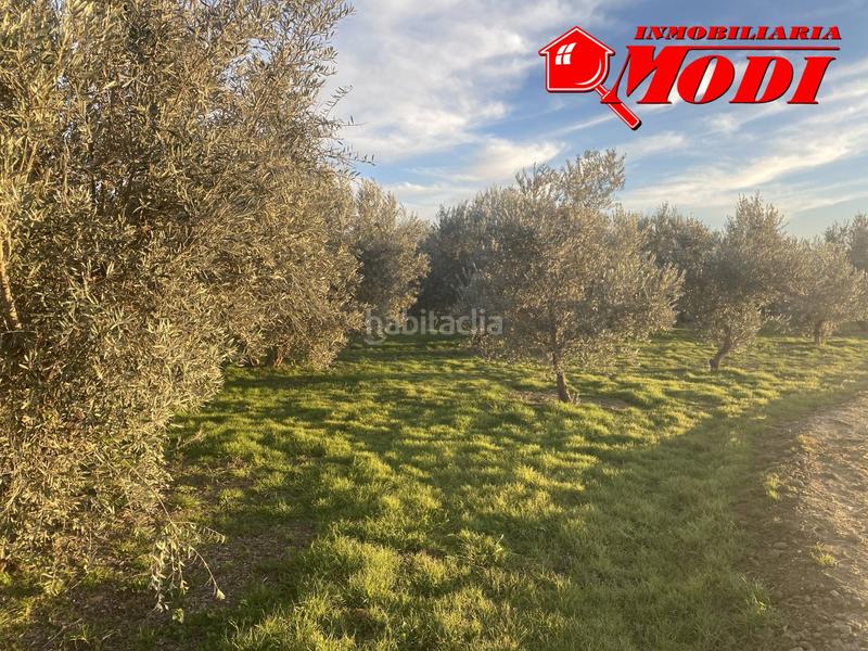 Foto d2bbe49f-2881-4114-8be2-6fedb1f884c6. Residential plot in Belicena Vegas del Genil