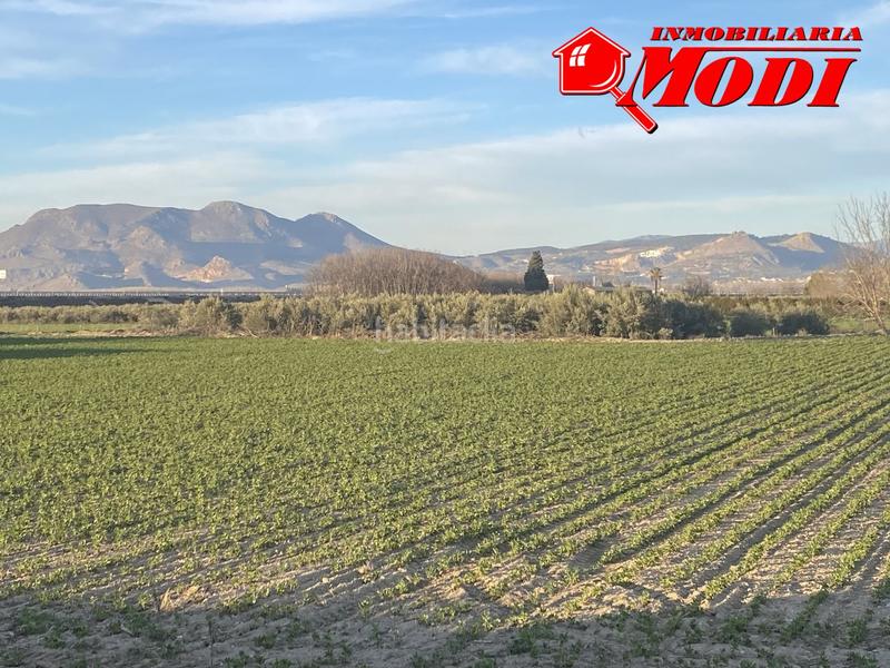 Foto d68723d8-e2d4-4b2c-96cb-6e52fc7a56ff. Residential plot in Belicena Vegas del Genil