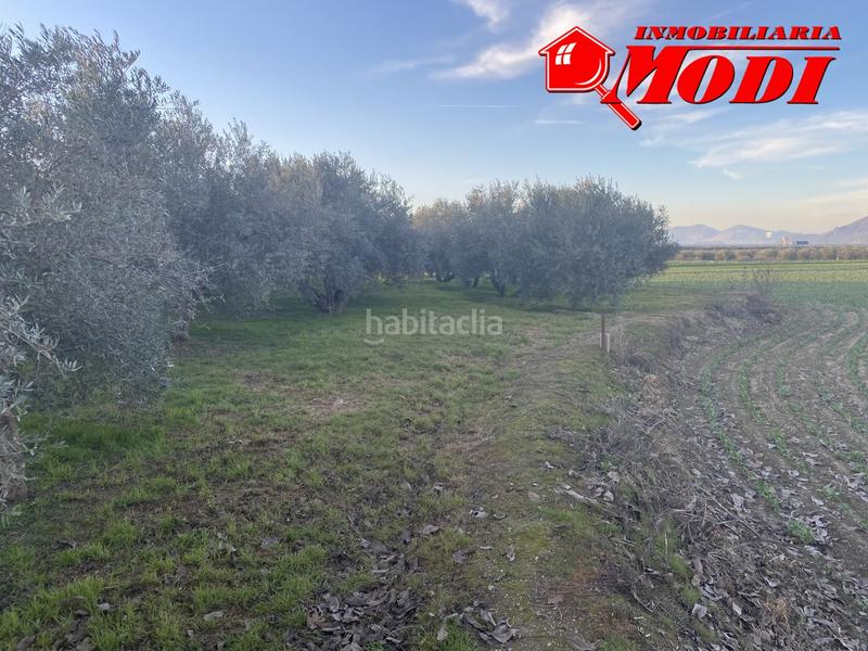 Foto f93f2f95-96c1-4945-a679-21a9b46fb5e4. Residential plot in Belicena Vegas del Genil