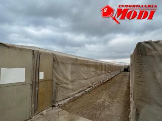 Terreny residencial a Motril  ciudad. Finca con invernadero en la vega de motril con  1 hectárea de ti