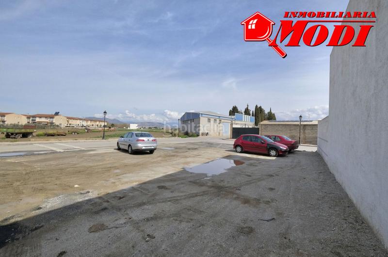 Foto d9f52e3f-b2db-4117-bd82-060afe9d94bf. Terreno residenziale in Cúllar Vega