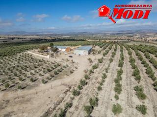 Terreny residencial a Alamedilla. Se vende espectacular finca productiva de 223 hectáreas conmas d