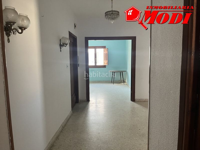 Foto ecb50c80-f8cf-457f-9146-1bc435417fe7. Pis a Padul