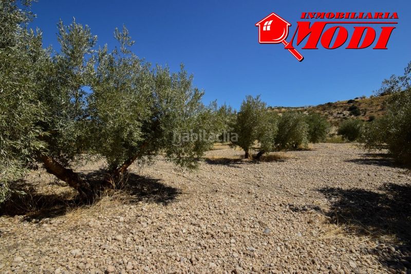 Foto ba0d4062-5a54-4a80-9fc9-cd5772d1d733. Masia a Cacín