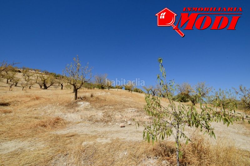 Foto cf971838-f676-4ea3-a3e7-4ef2c6ebaa6d. Masia a Cacín