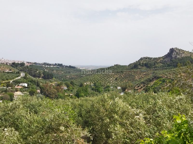 Foto 04e266d7-a612-4f3a-852c-9dbb8f8d69d5. Chalet en ja-3210 88 en Jabalcuz Jaén