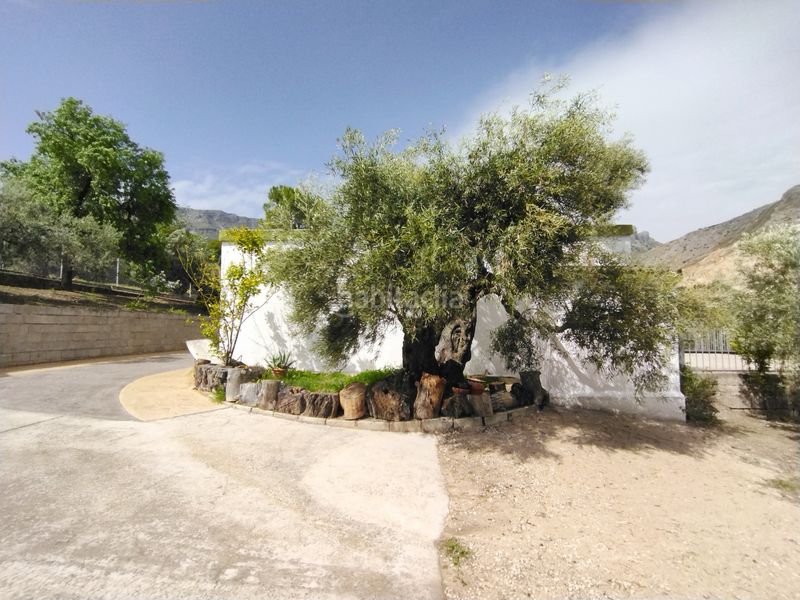 Foto 4051f18b-ed2d-4956-988a-d3656abea47a. Chalet en ja-3210 88 en Jabalcuz Jaén