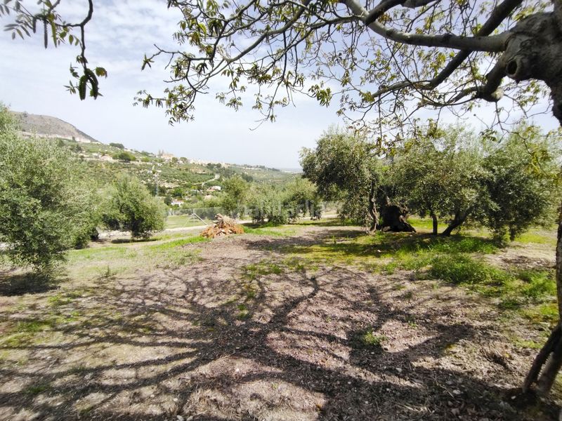 Foto 8fdde9c3-5006-4dbc-821c-236d40af7858. Chalet en ja-3210 88 en Jabalcuz Jaén