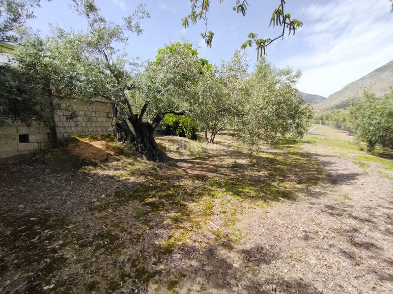 Foto 4f4e2f6e-b6a4-4722-8a75-136a9a905a90. Xalet a ja-3210 88 a Jabalcuz Jaén