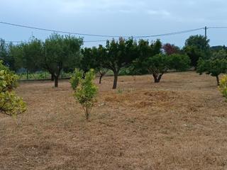 Residential Plot  Carrer reus