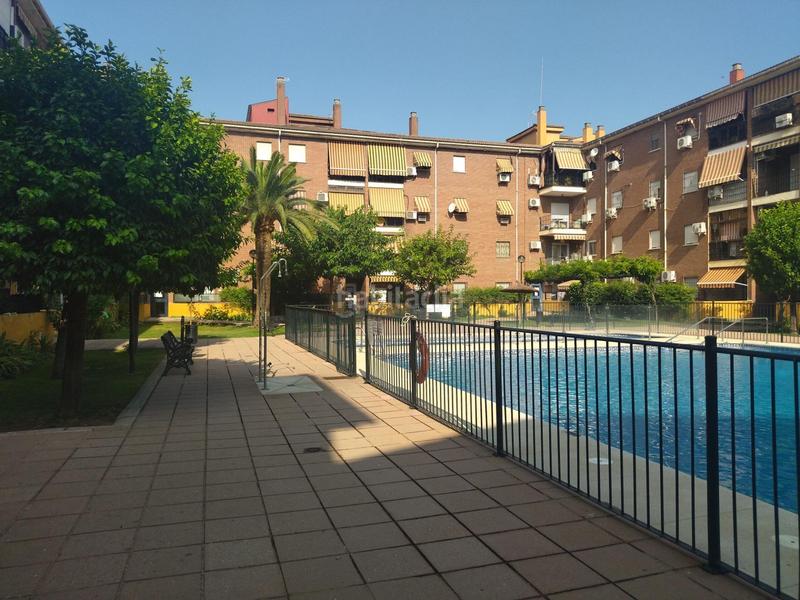 Foto ff9ace5b-31d4-4385-b228-d3d3b14266fb. Piso luminosa vivienda con terraza y piscina comunitaria en parque azahara en Córdoba