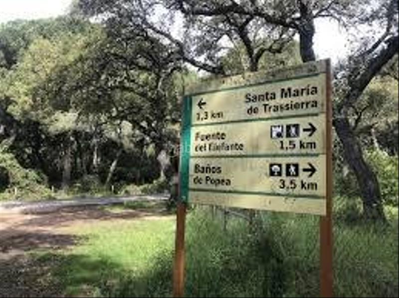 Foto 35ca9c46-d481-4ee7-97e4-fddf31c04f22. Xalet amb calefacció aparcament piscina a Santa Maria de Trassierra Córdoba