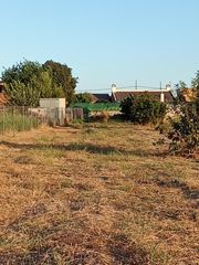Finca rústica  Poligono 9 parcela 142 los mochos. Terreno de regadío en venta para uso agrario