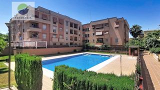 Pis  Avenida de maracena 190. Piso en residencial con piscina en granada