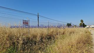 Propriété  N/a. Novedad, parcela de tierra de regadío en la vega del guadalquivi
