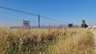 Finca r�stica  N/a. Novedad, parcela de tierra de regad�o en la vega del guadalquivi