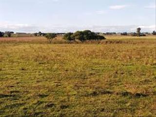 Propriété à Carretera variant 245 3112. Terreno muy bueno y pequeño con un precio pequeño